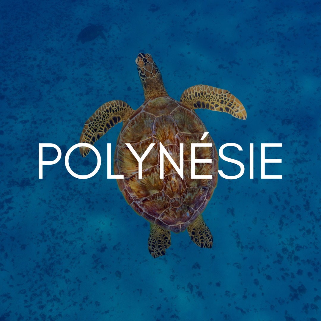 Polynesia