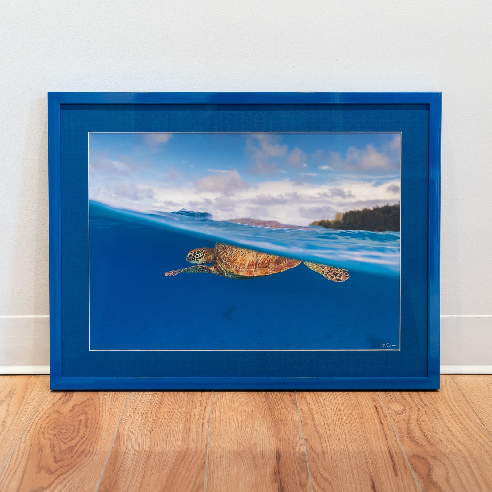 Tortue verte en surface - Cadre galerie (18x24 pouces)