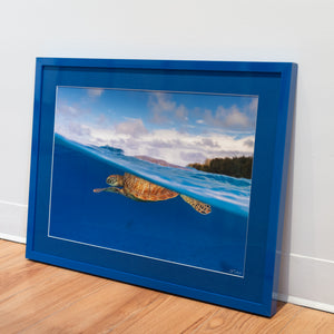 Tortue verte en surface - Cadre galerie (18x24 pouces)