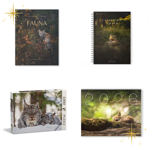 Gift set - Wildlife