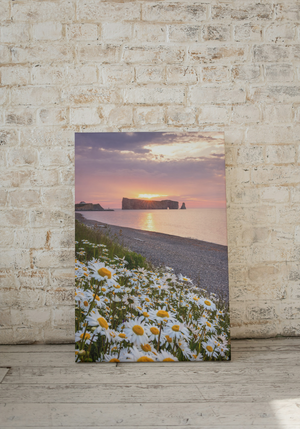 Rocher Percé X Marguerites - Canvas