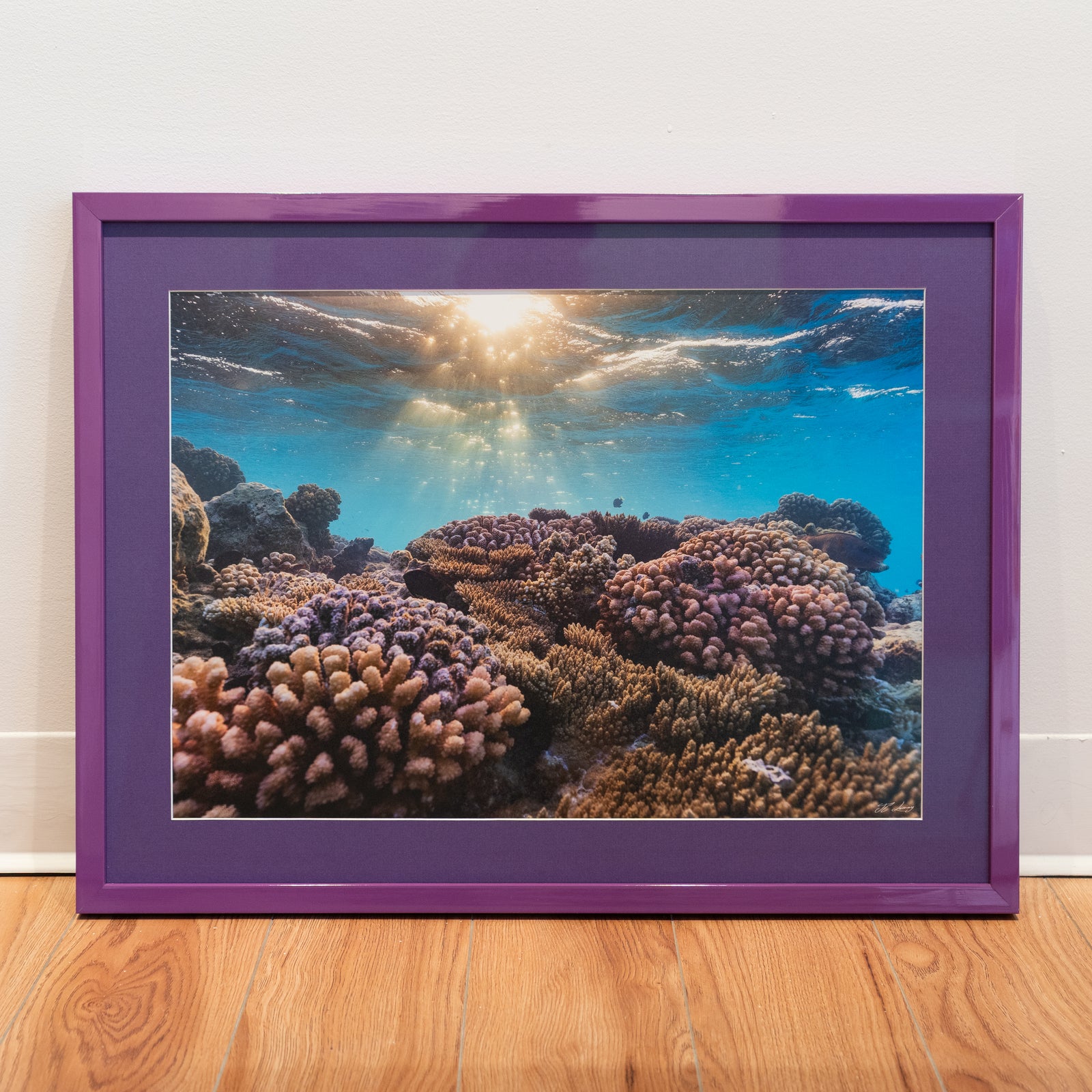 Aquarium naturel - Cadre galerie (18x24 pouces)