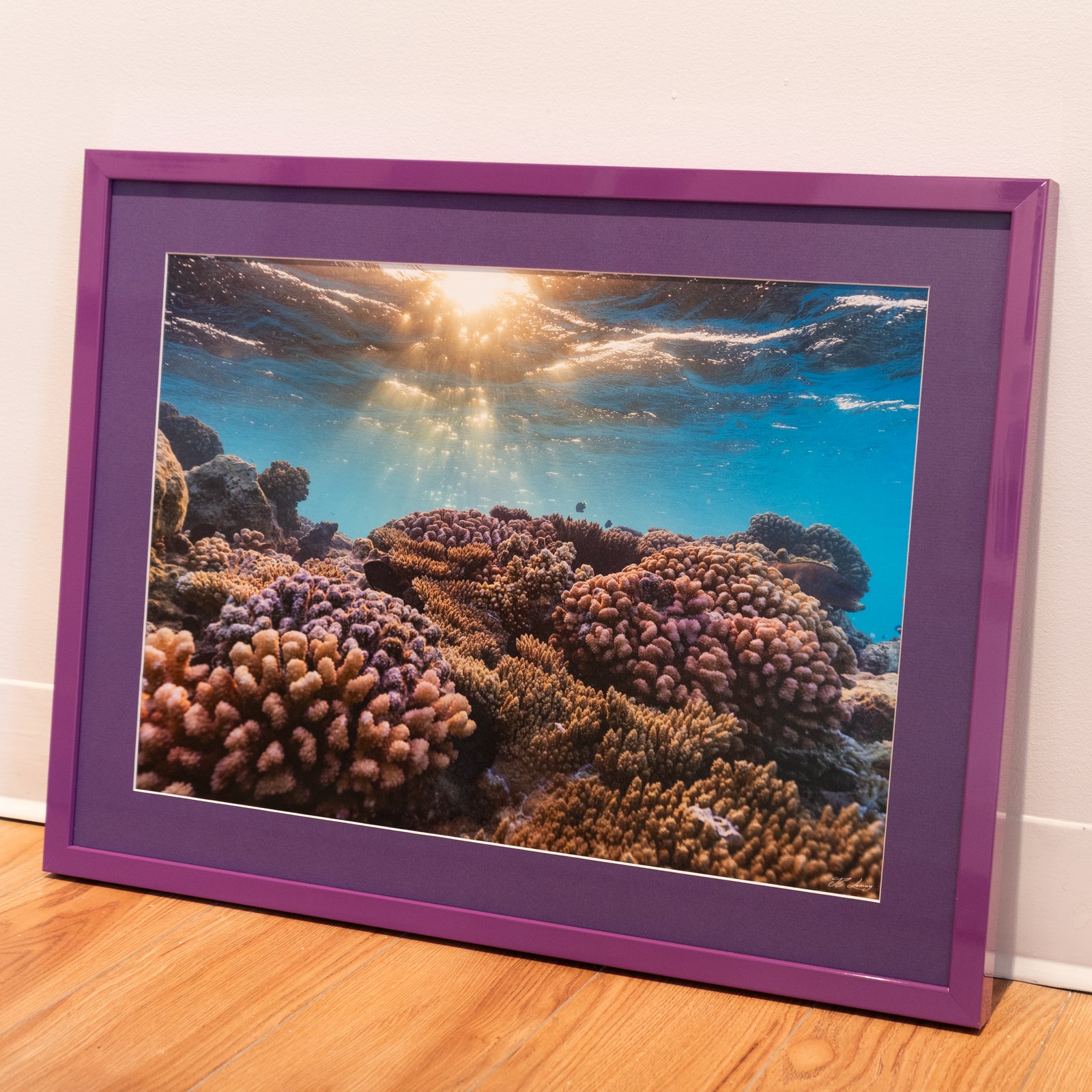 Aquarium naturel - Cadre galerie (18x24 pouces)