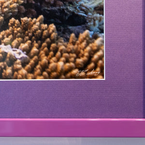 Aquarium naturel - Cadre galerie (18x24 pouces)