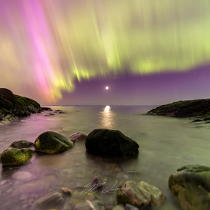 Coasters (set of 4) - Northern Lights