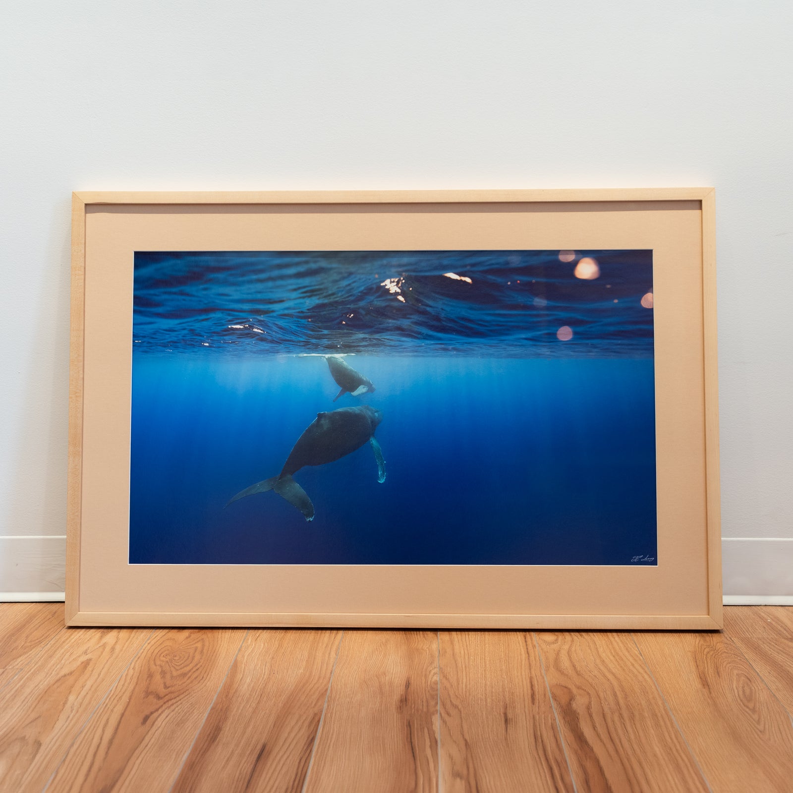 Sous la lumière - Cadre galerie (24x36 pouces)