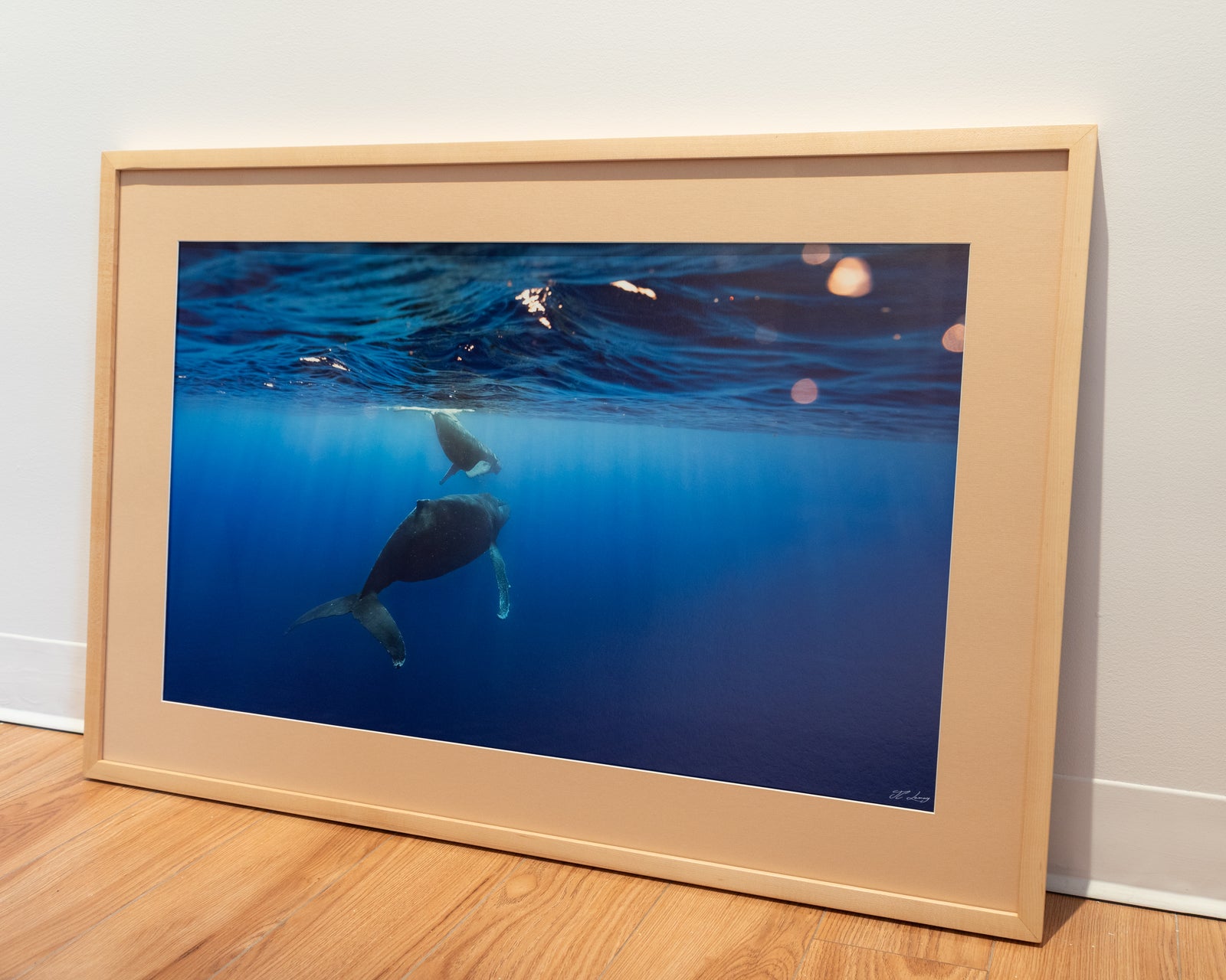 Sous la lumière - Cadre galerie (24x36 pouces)