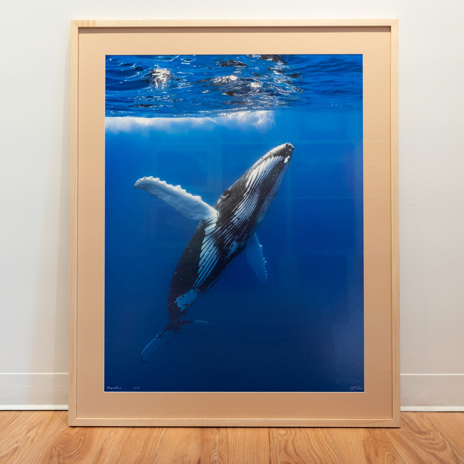 Megaptera - Édition limitée - Cadre galerie (32x40 pouces)