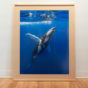 Megaptera - Édition limitée - Cadre galerie (32x40 pouces)