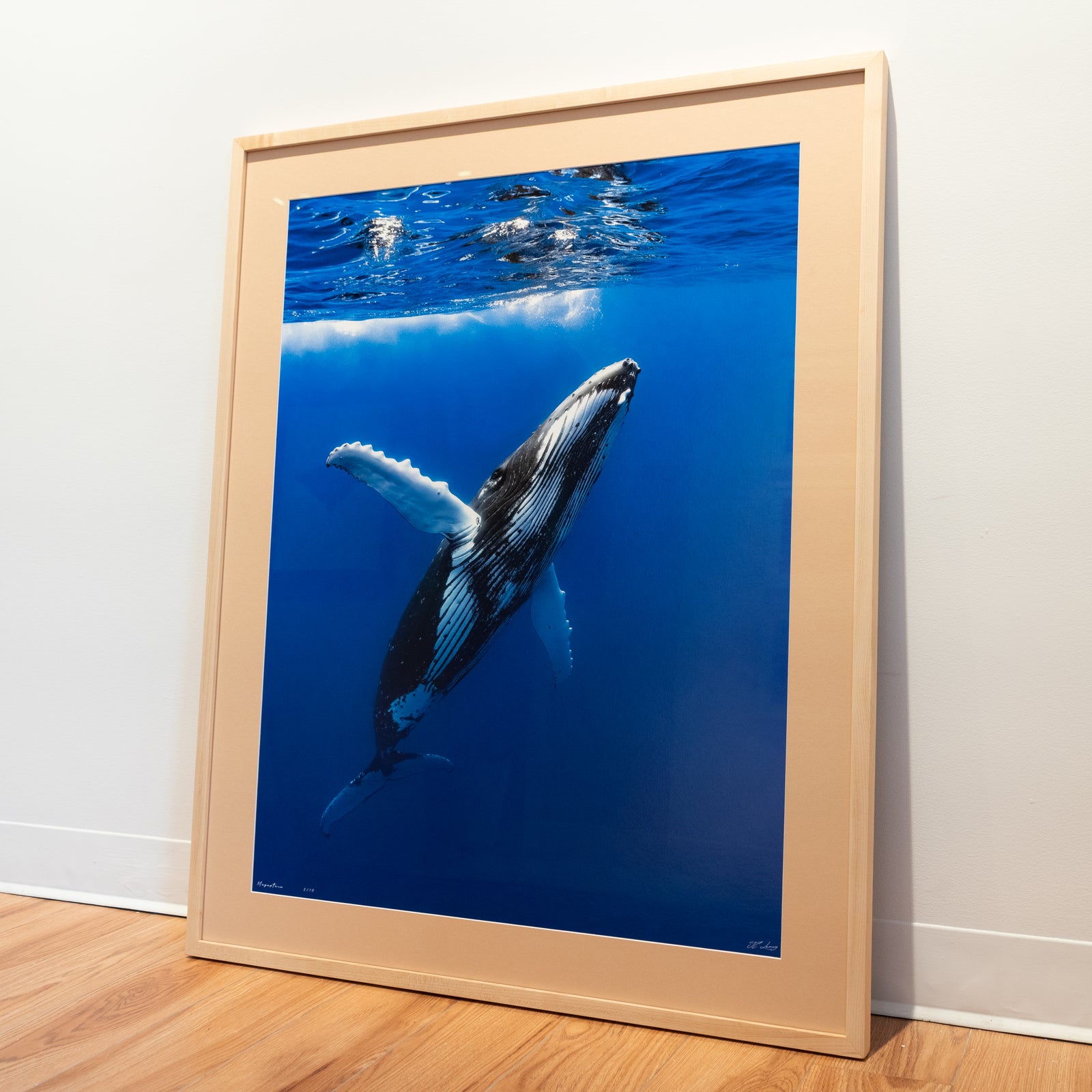 Megaptera - Édition limitée - Cadre galerie (32x40 pouces)