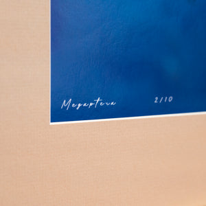 Megaptera - Édition limitée - Cadre galerie (32x40 pouces)