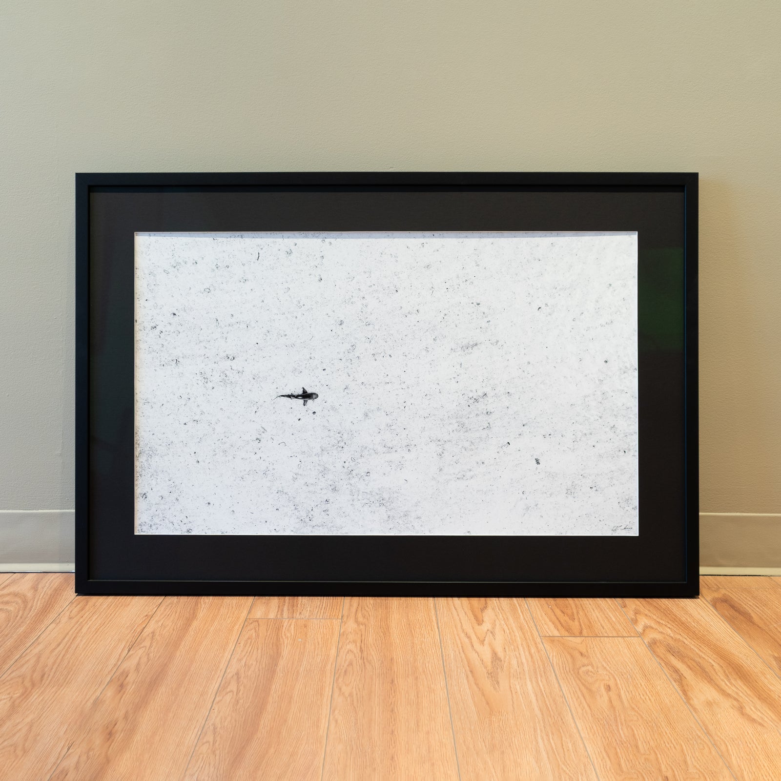 Requin en patrouille - Cadre galerie (24x36 pouces)