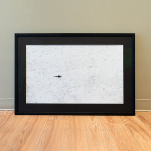 Requin en patrouille - Cadre galerie (24x36 pouces)