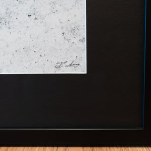 Requin en patrouille - Cadre galerie (24x36 pouces)