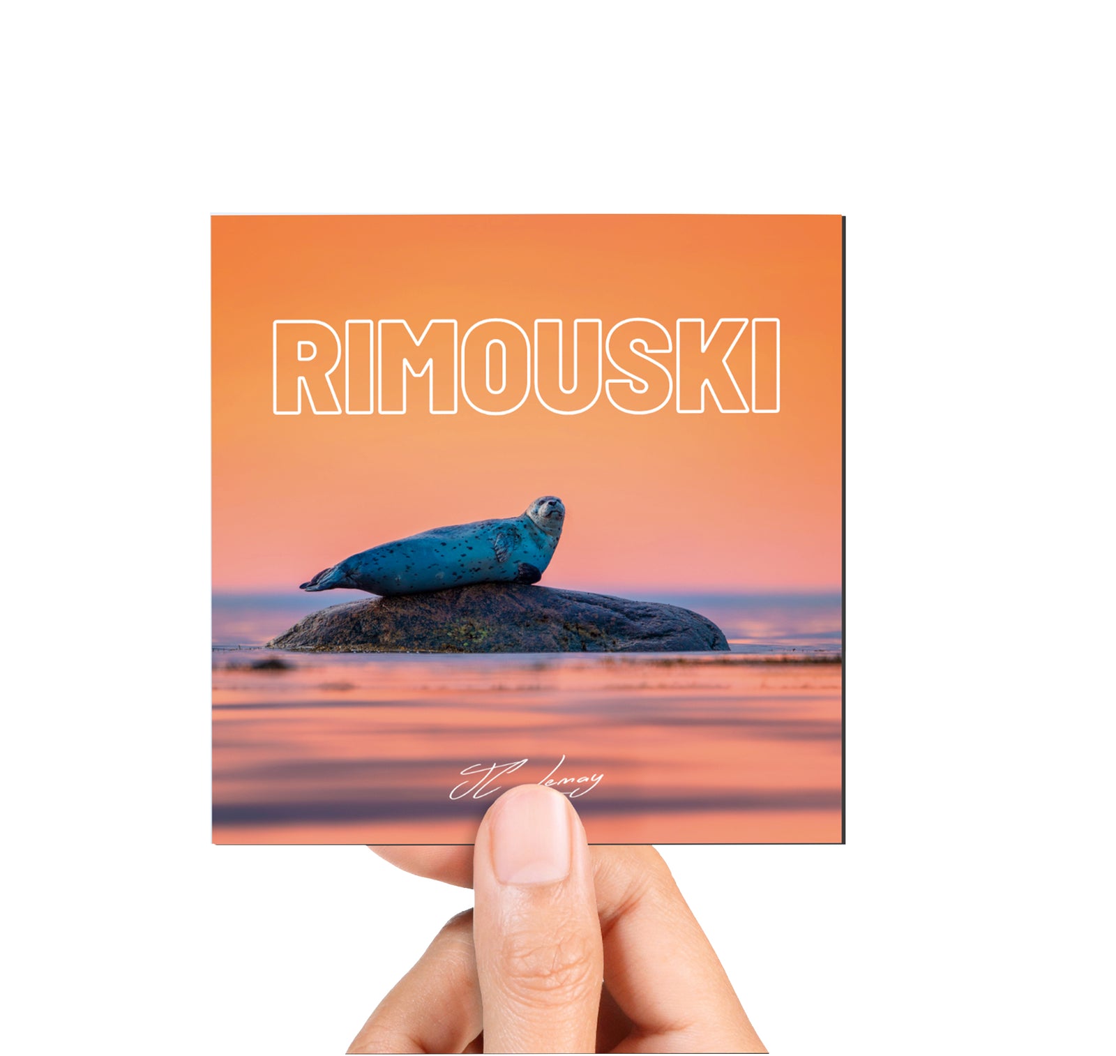 Magnet - Sunset seal