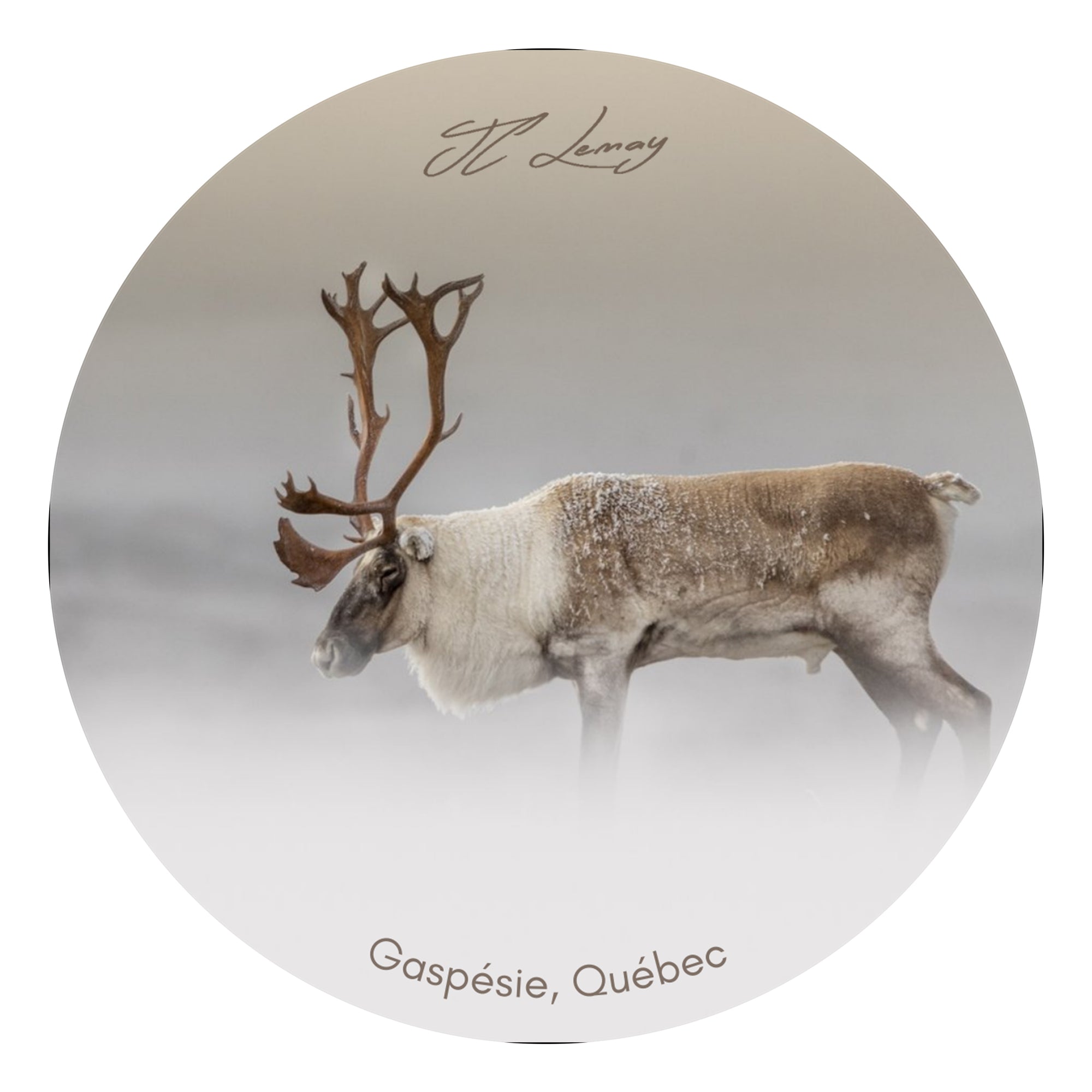 Sticker - Caribou