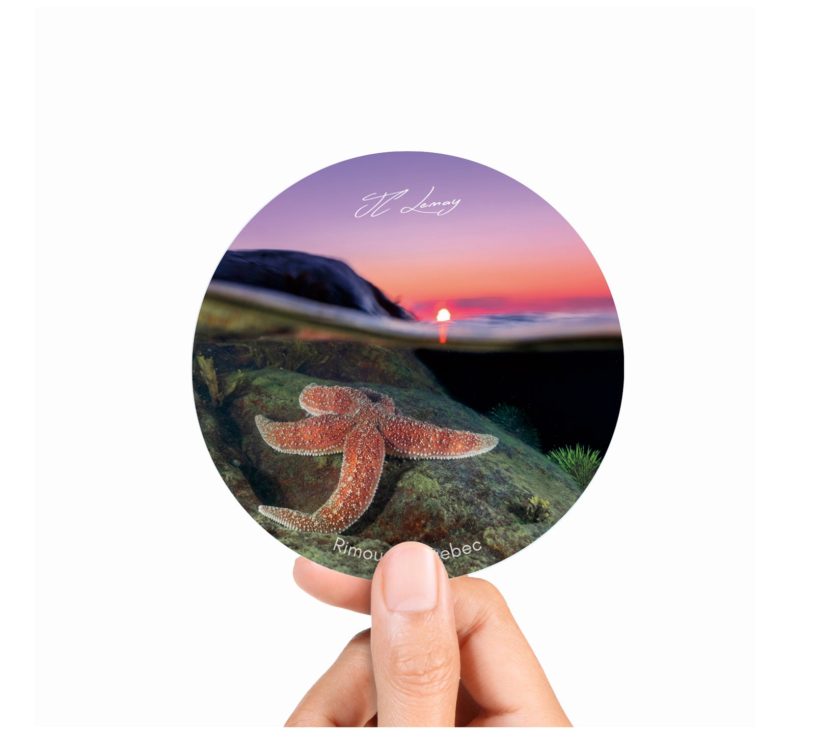 Sticker - Starfish