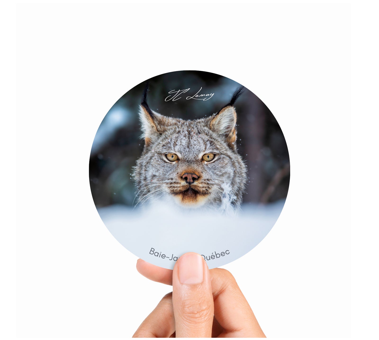 Sticker - Canada Lynx