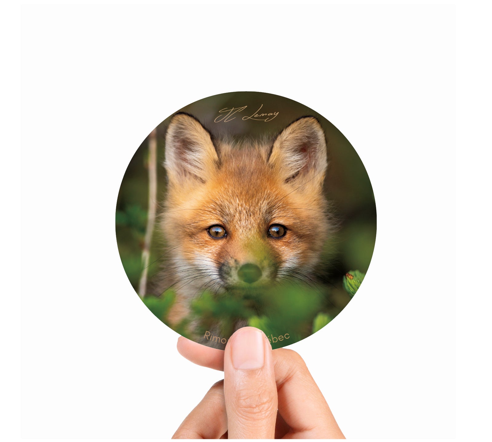 Sticker - Fox cub