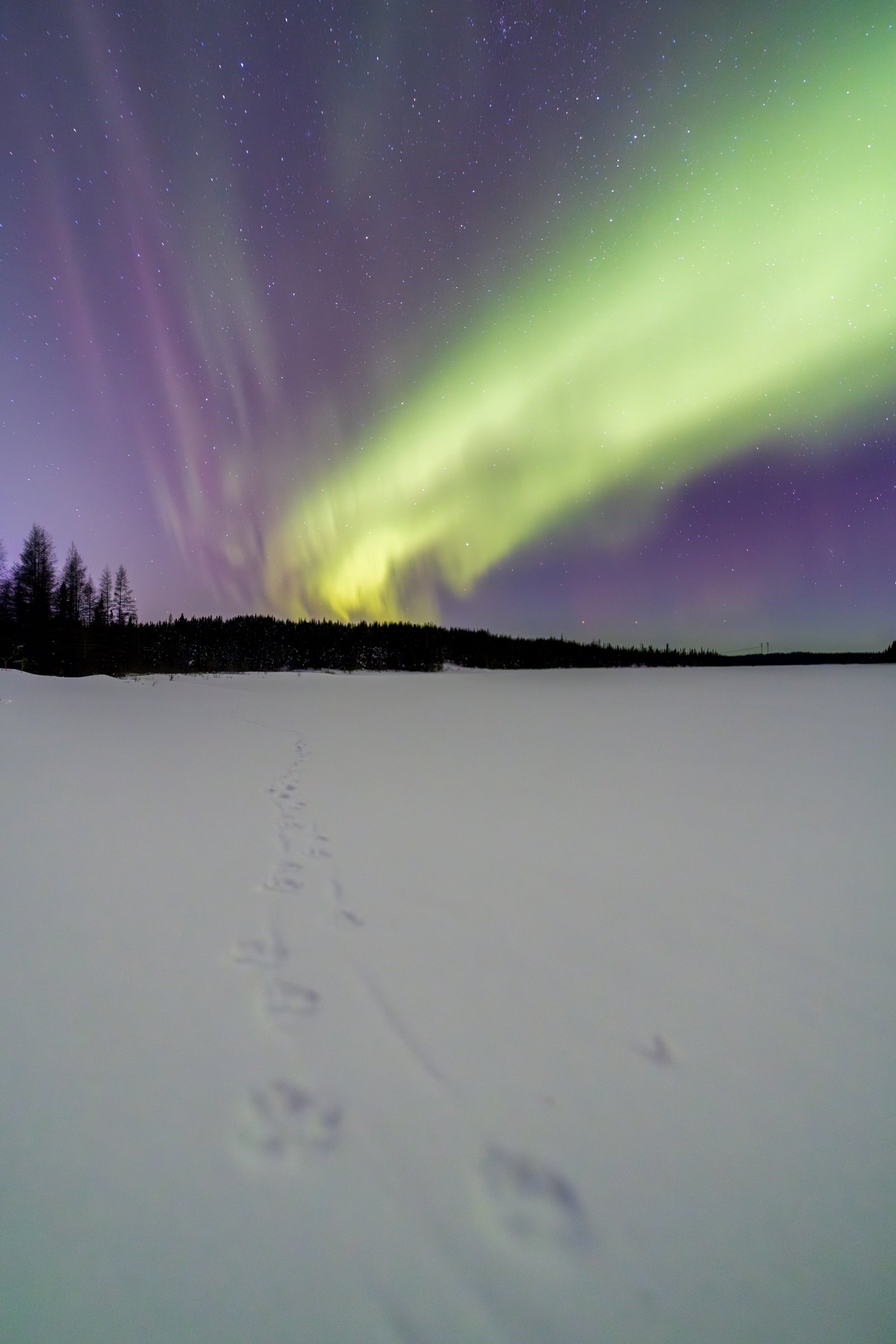 Reflection of Le Bic and the Northern Lights