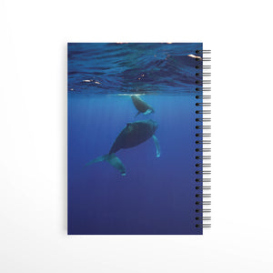 Cahier de notes - Baleine