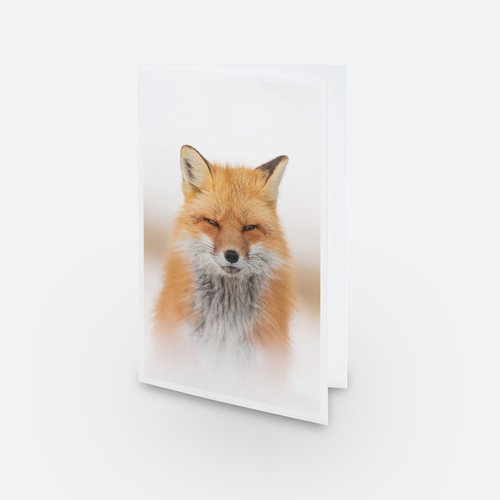 Bienveillance - Carte de souhaits