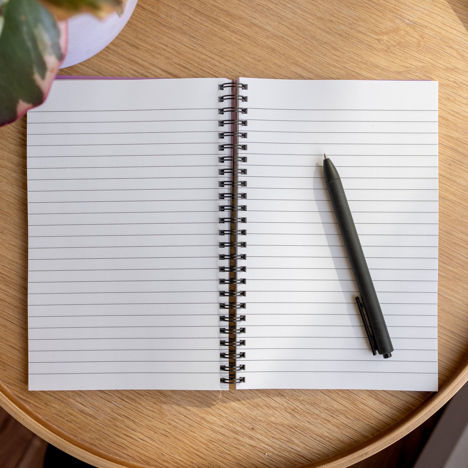 Cahier de notes - Macareux