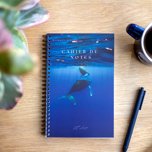 Humback whales - Notebook