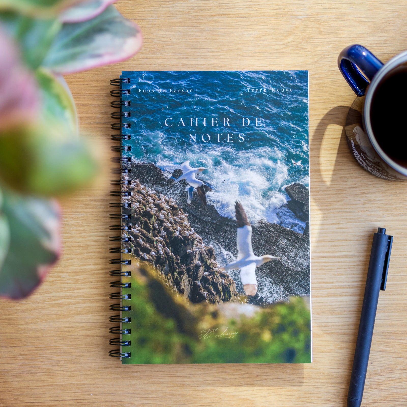 Falaise des Fous - Notebook