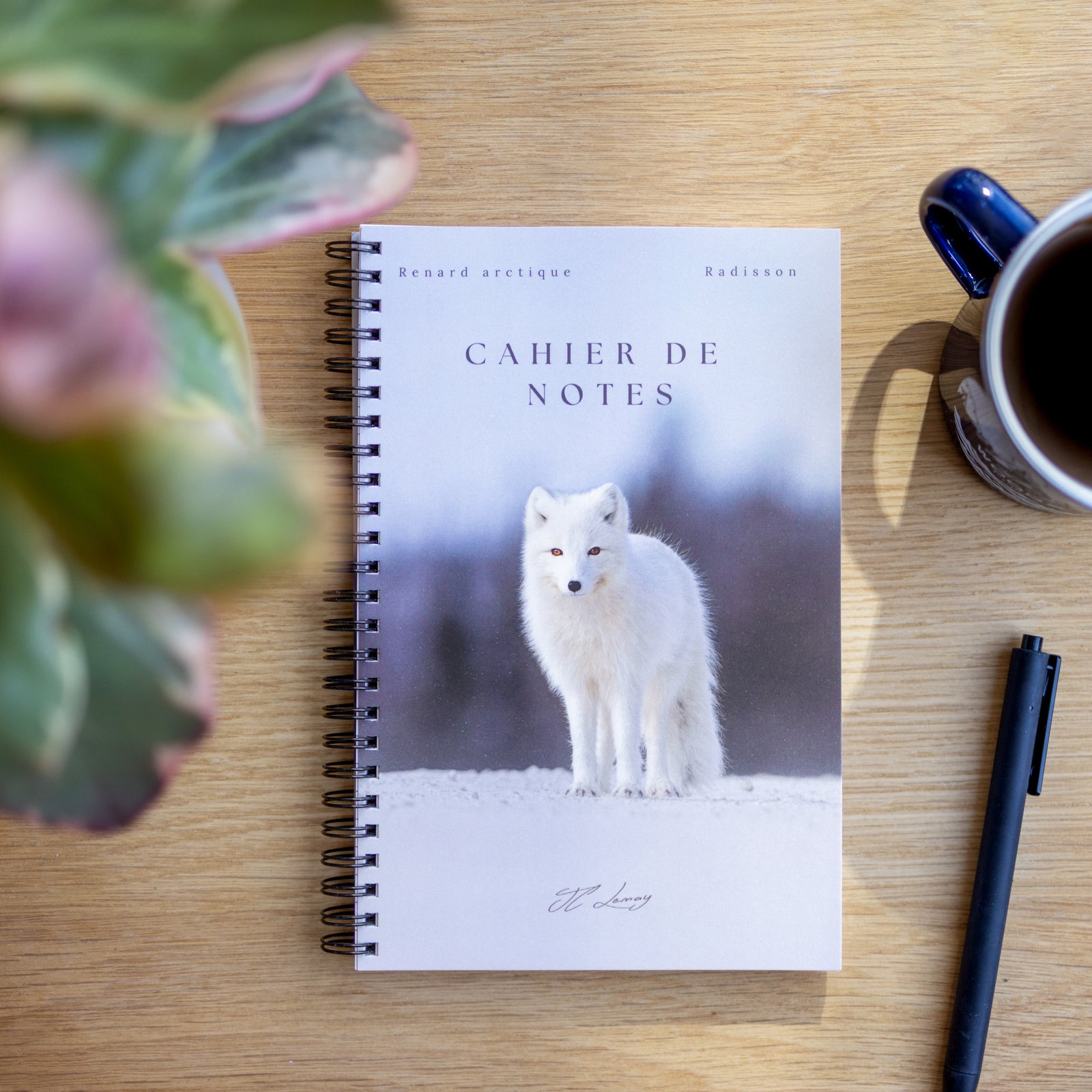 Cahier de notes - Renard arctique