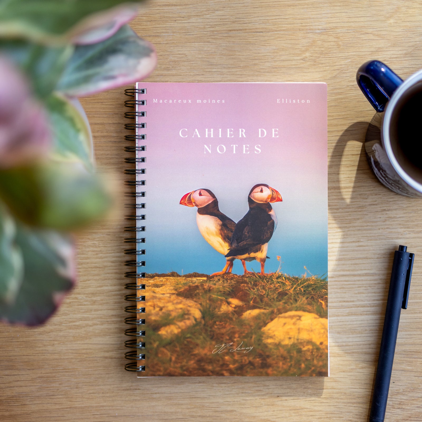 Cahier de notes - Macareux