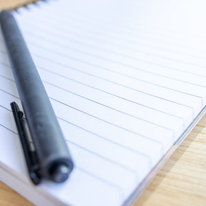 Harp seal pup - Notebook