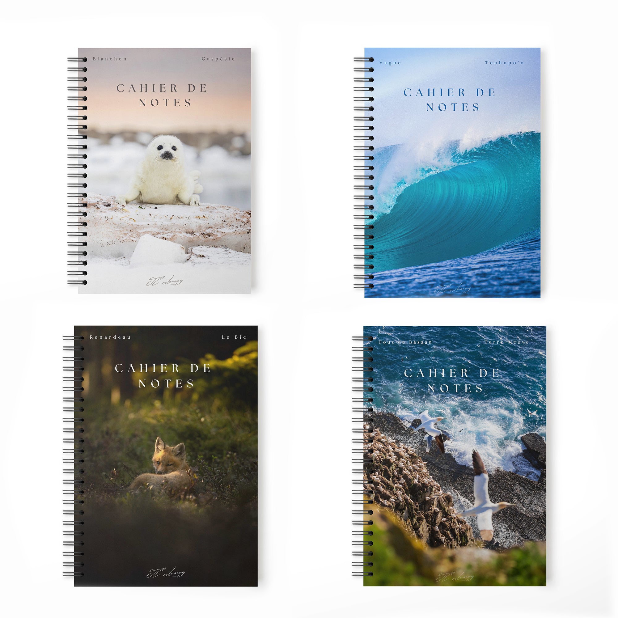 Notebook set (4)