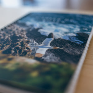 Falaise des Fous - Notebook