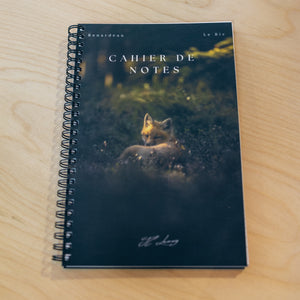 Ray of light - Notebook
