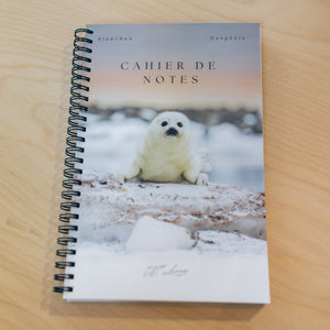 Falaise des Fous - Notebook