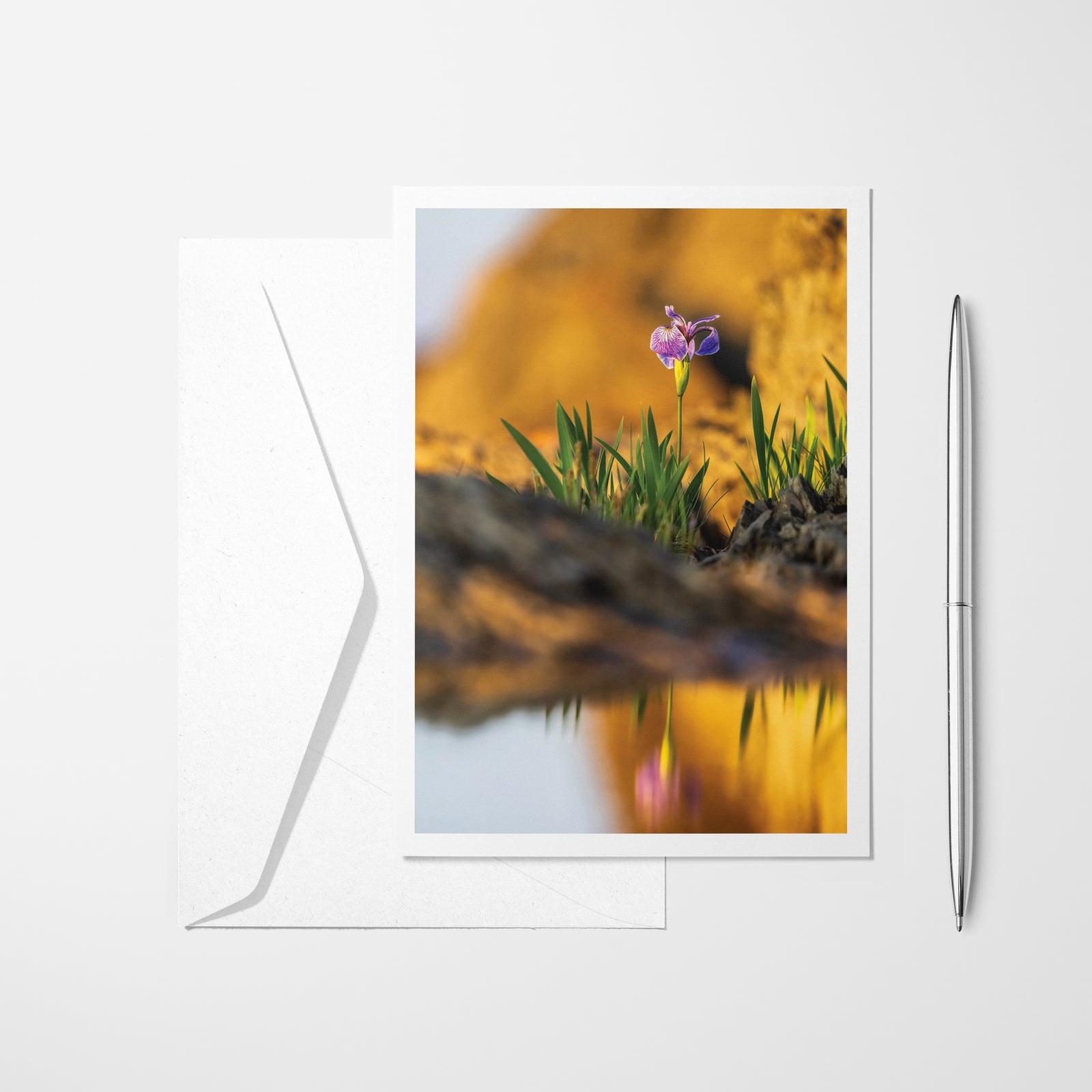 Iris - Carte de souhaits