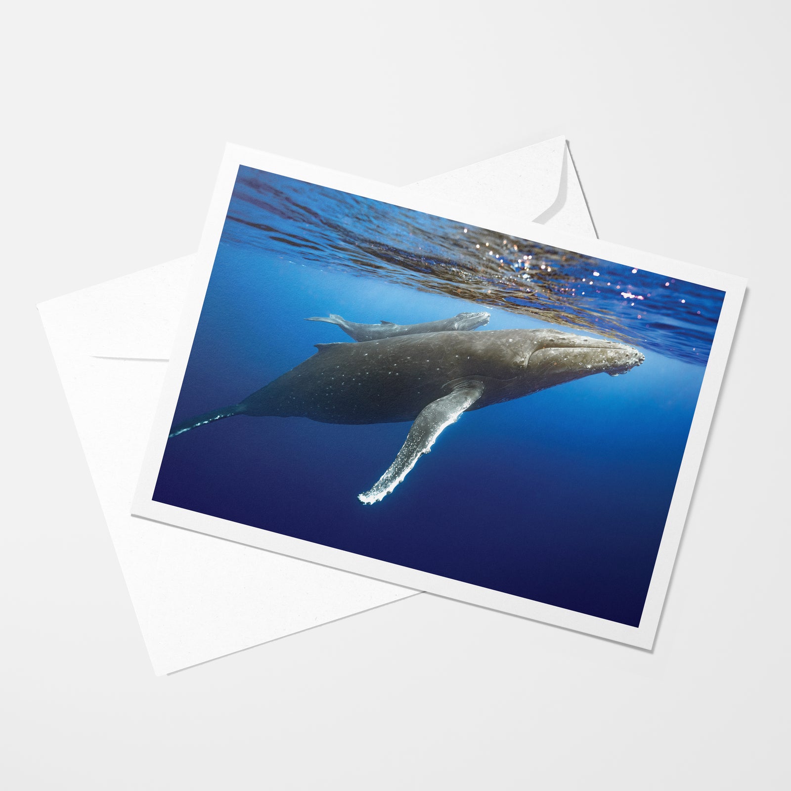 Peek-a-Boo - Carte de souhaits