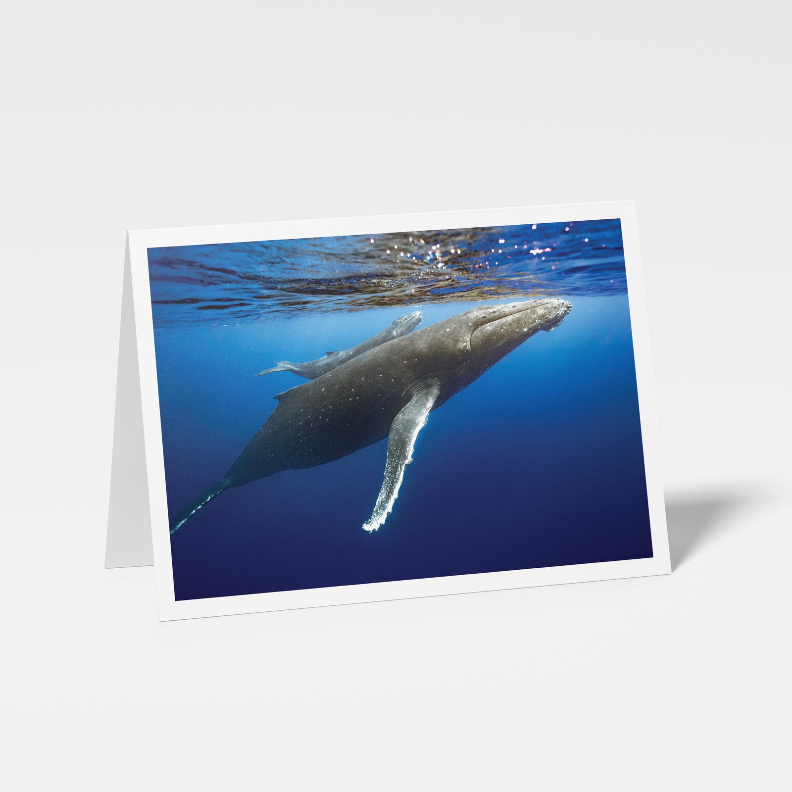 Peek-a-Boo - Carte de souhaits