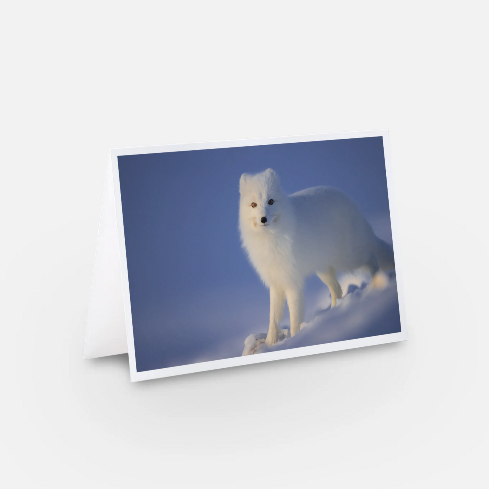 Beauté pure - carte de souhaits