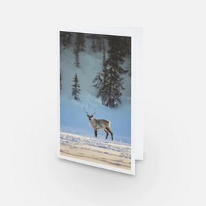 Caribou on the lake - Greeting card