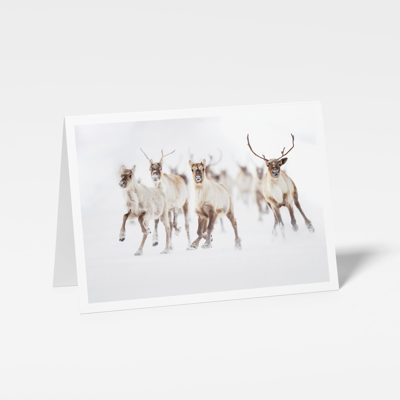 La grande course - Carte de souhaits