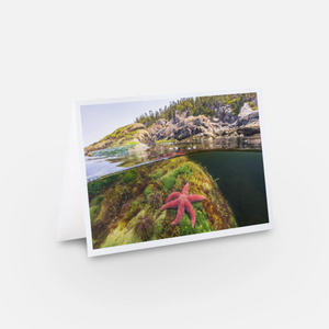 Starfish X Îlet Canuel - Greeting card