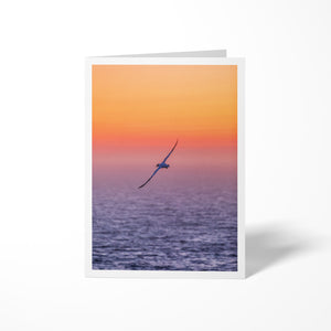 Fou au sunset - Carte de souhaits