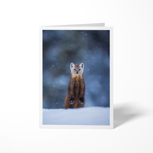 Pine marten under the snow - Greeting card