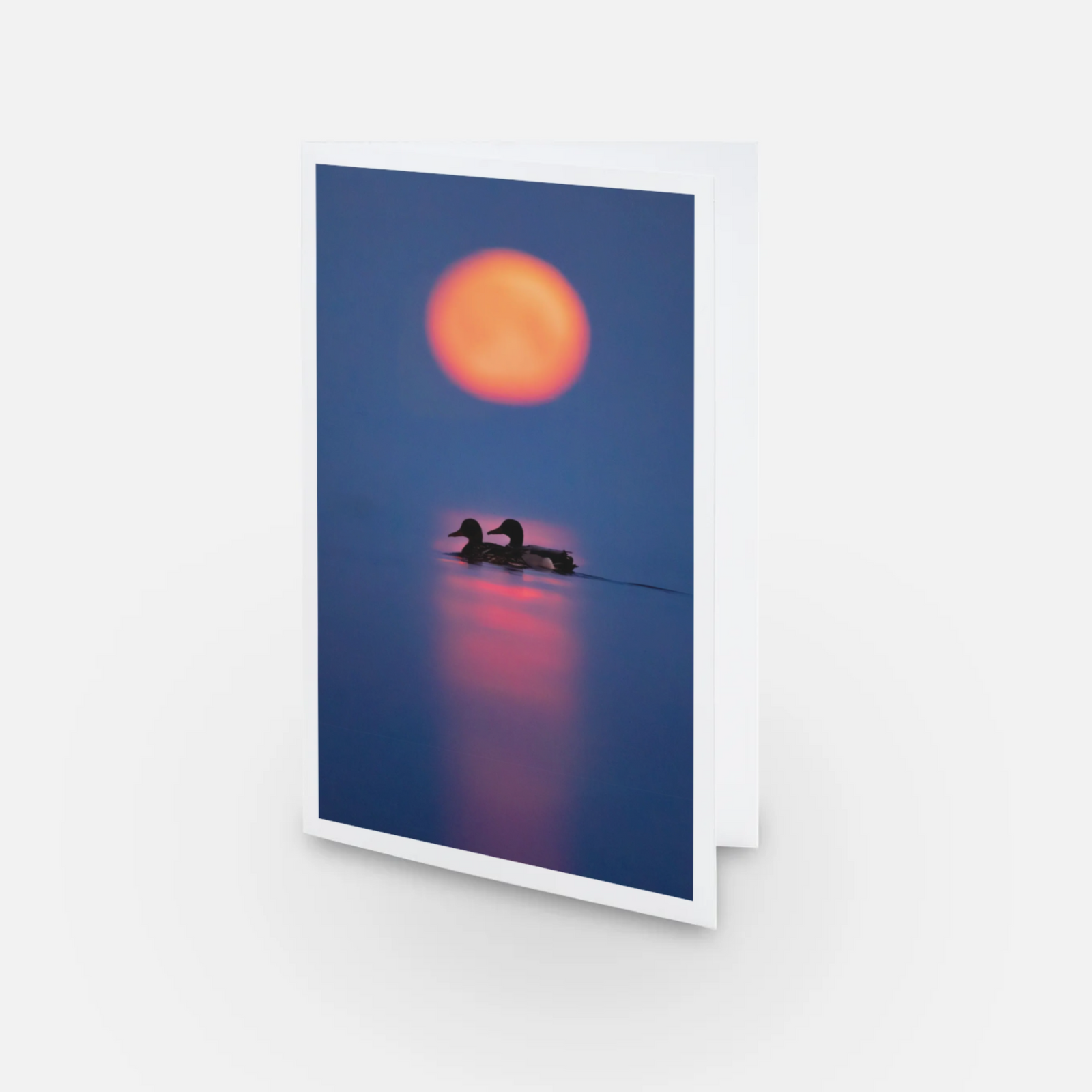 Moonset ducks - carte de souhaits