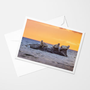 Trio de patates - Carte de souhaits