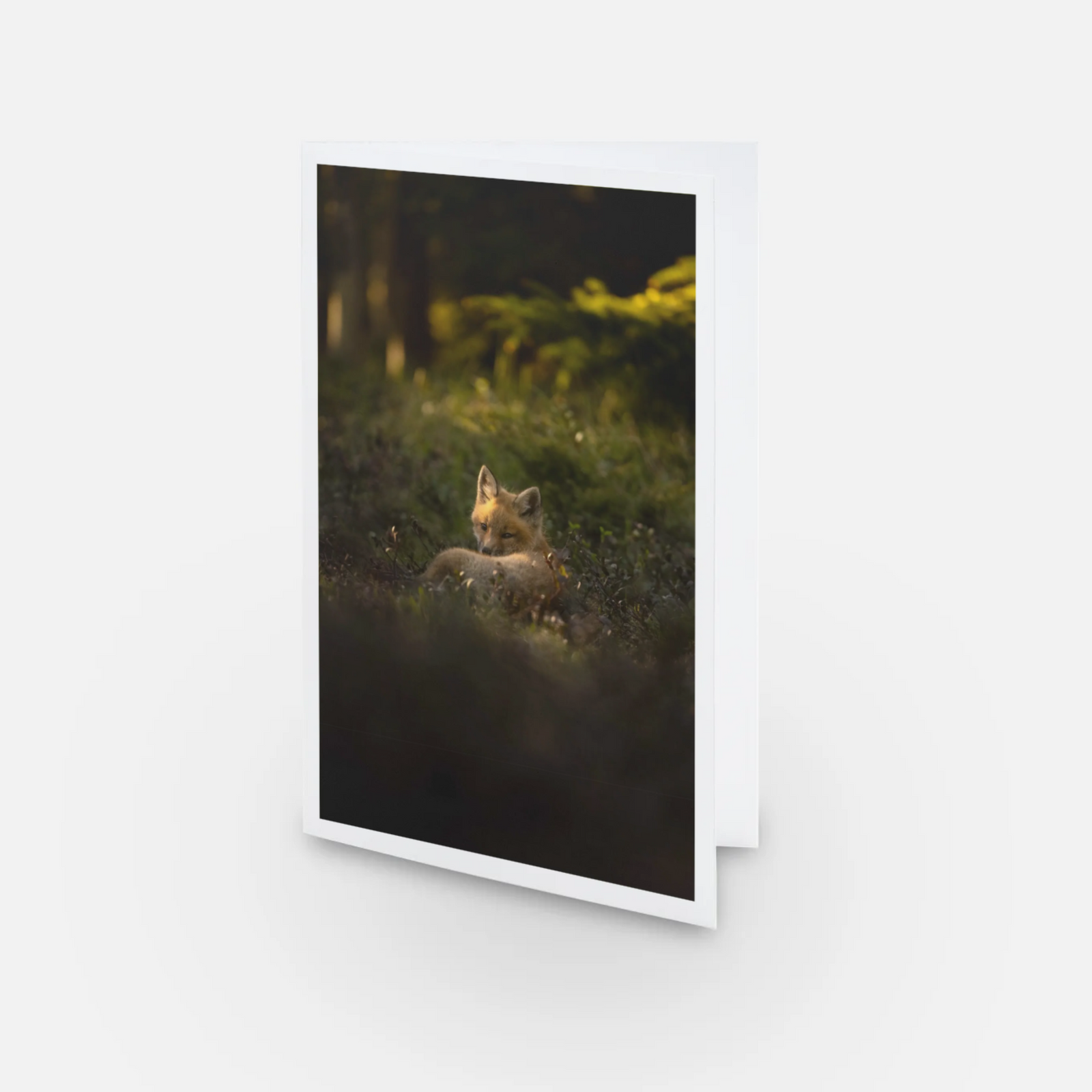 Rayon de lumière - Carte de souhaits