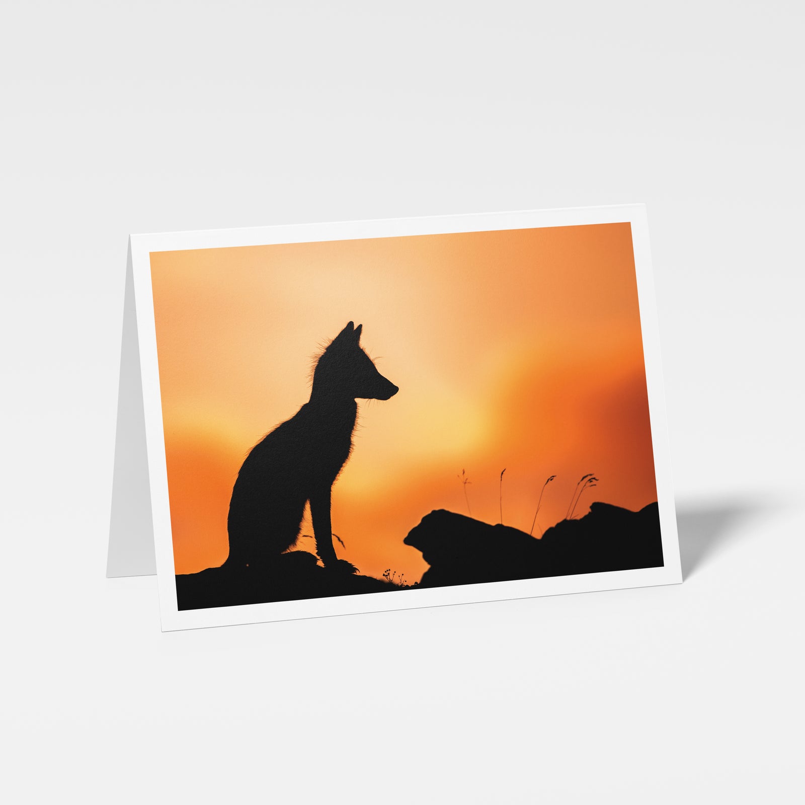 Silhouette du renard - Carte de souhaits