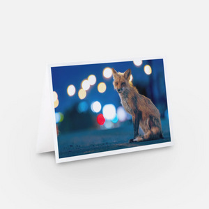 Set of greeting cards (15) - Mixed